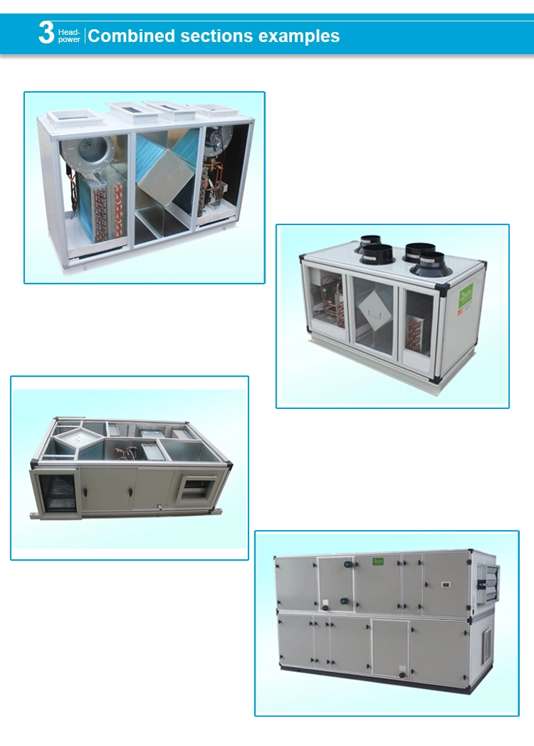 China Heat Recovery Fresh Air Handling Unit OEM Aluminum Core Heat Exchanger Ahu Medical Heat Pump Ahu Fresh Air Handling Unit